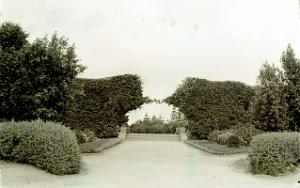 Mazagran 504- Jardin Spiney COLLECTION DES AMIS DE ND DE SANTA CRUZ